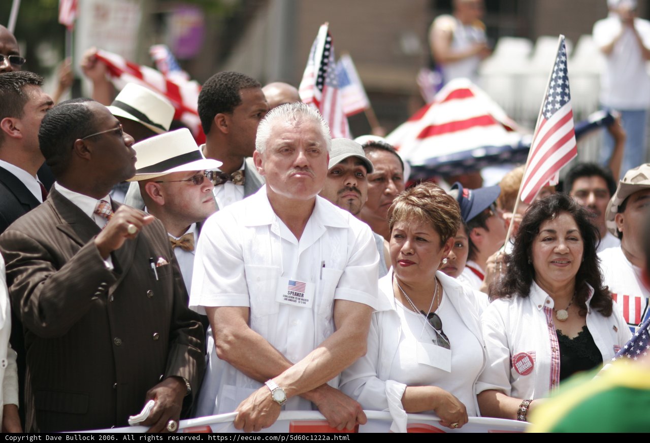 Patriotic Crowd