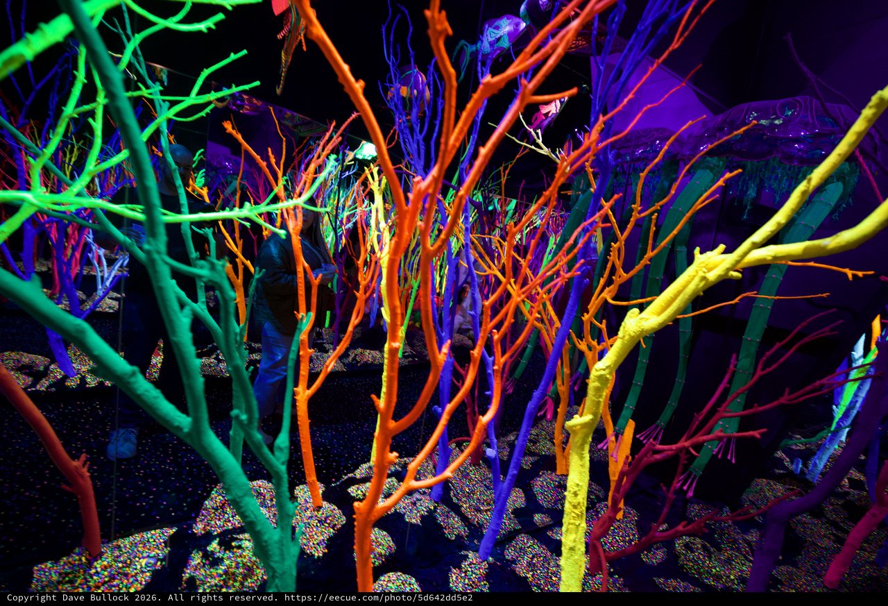 Neon Forest: Fluorescent Art Installation Under UV Light