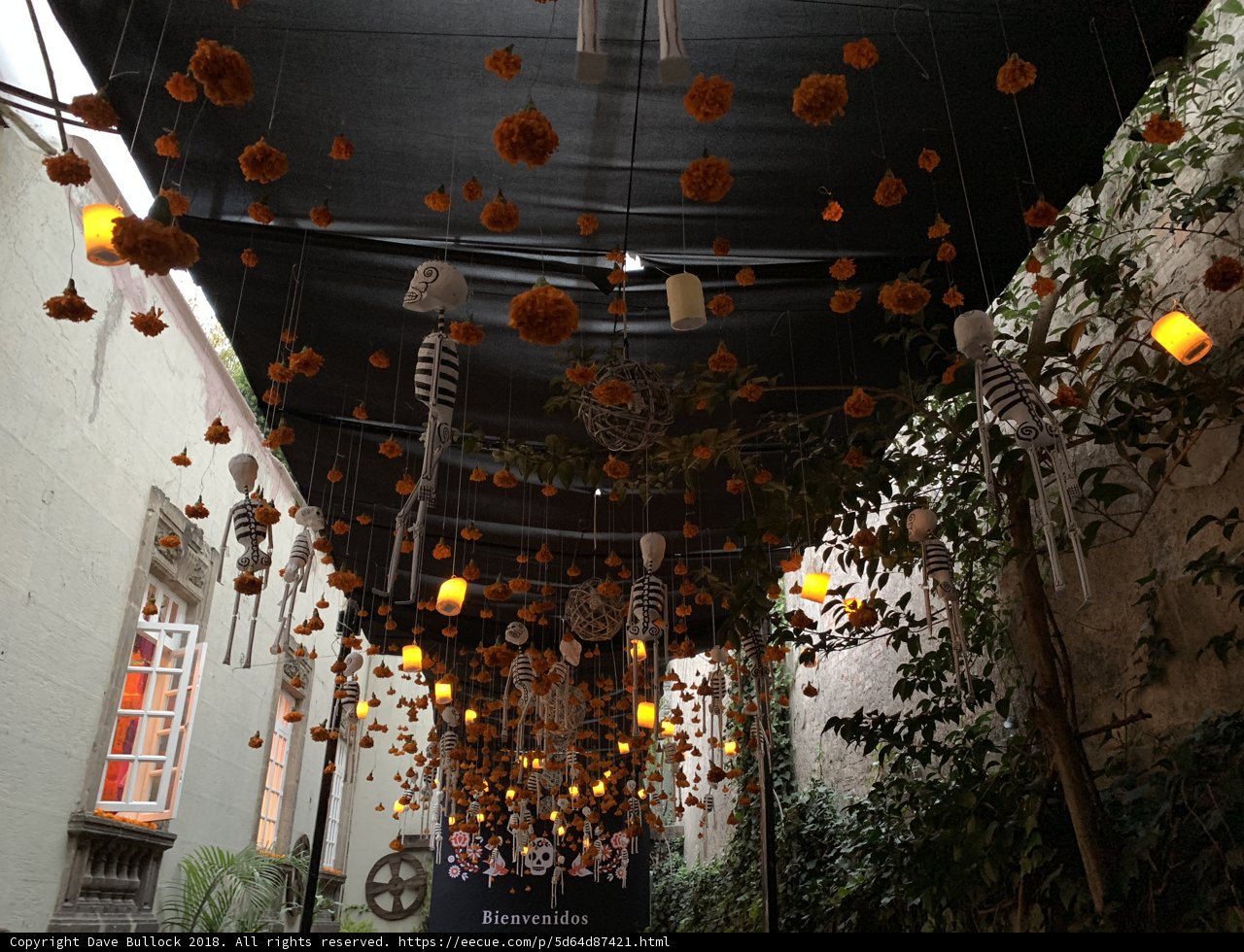 Illuminating Paths