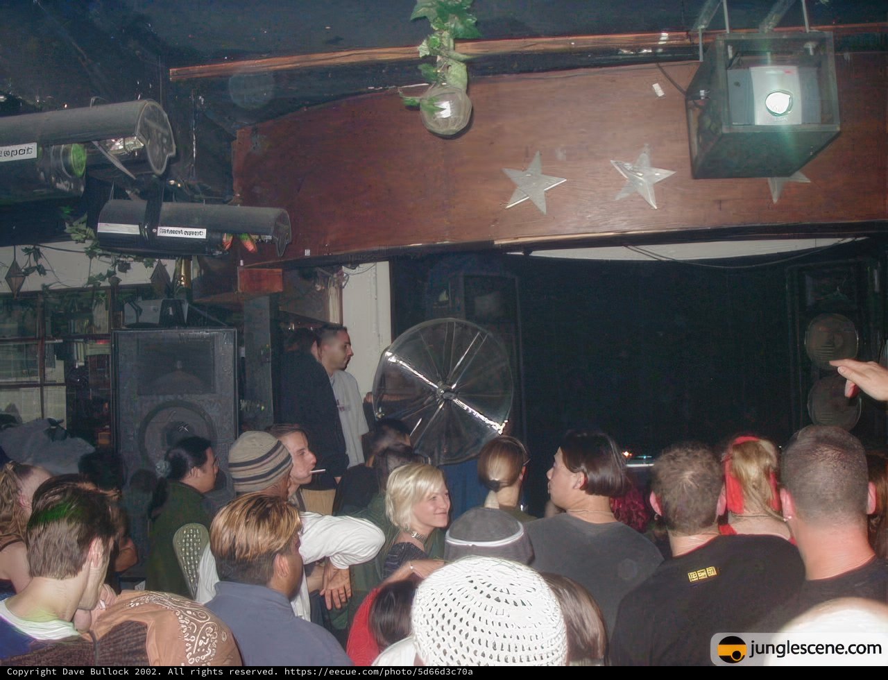 Nightlife Entertainment