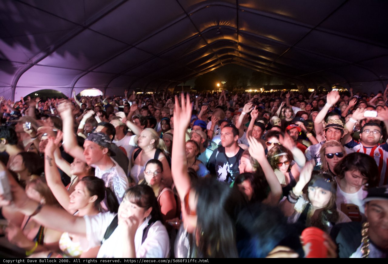 Coachella Crowd Goes Wild