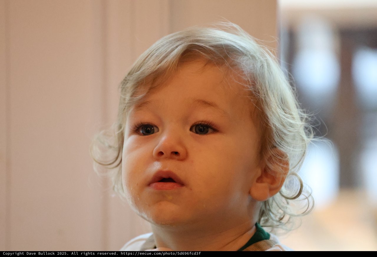 Curious Toddler with Blonde Curls at Christmas Time