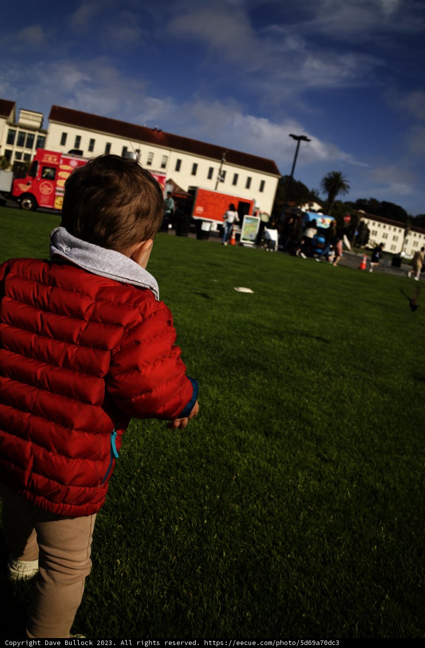 Vibrancy of Youth: A Day in the Park
