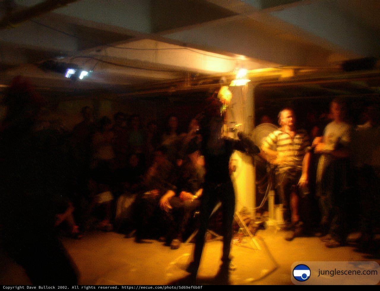 Nightclub Performance