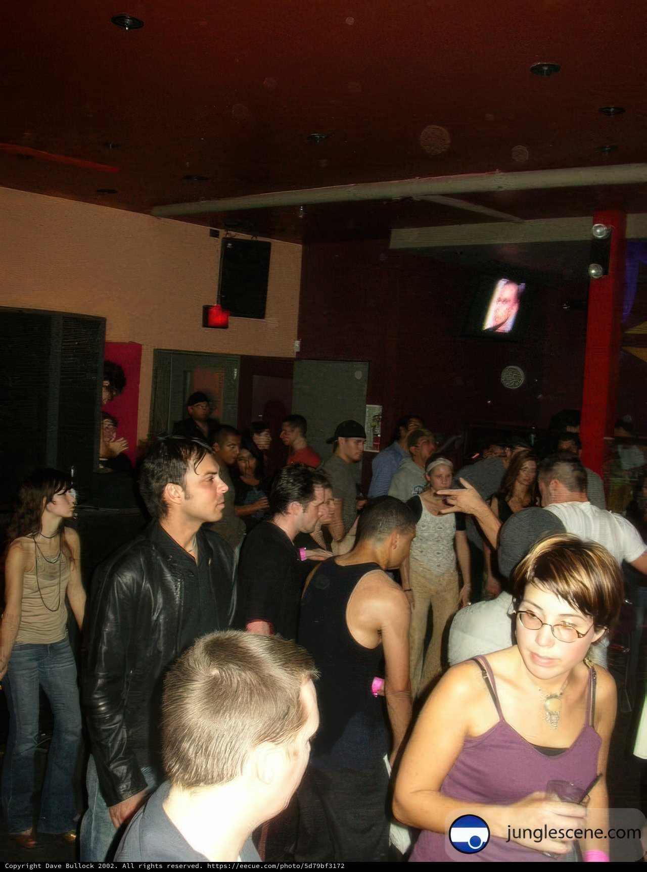 Nightclub party-goers groove to the music