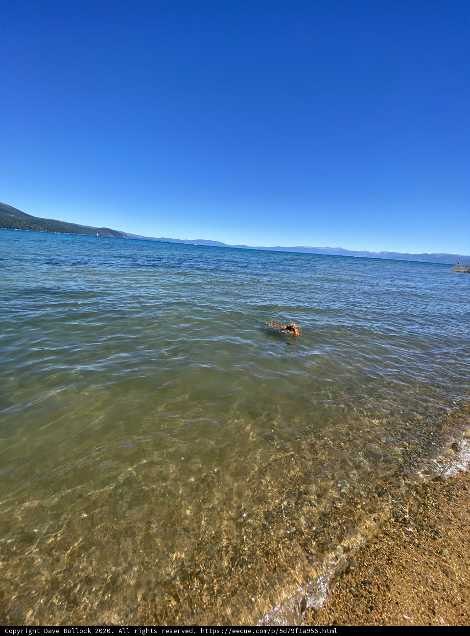 Playtime in the Tahoe Waters
