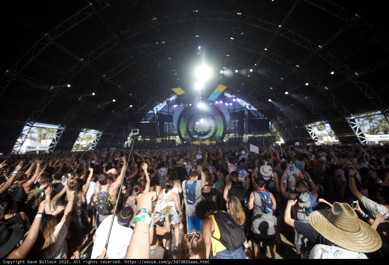 Sea of Festival Goers