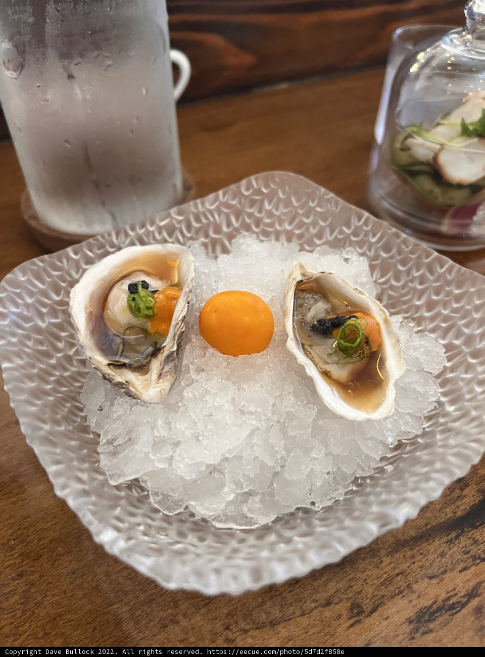 Oysters on Ice with a Fried Egg