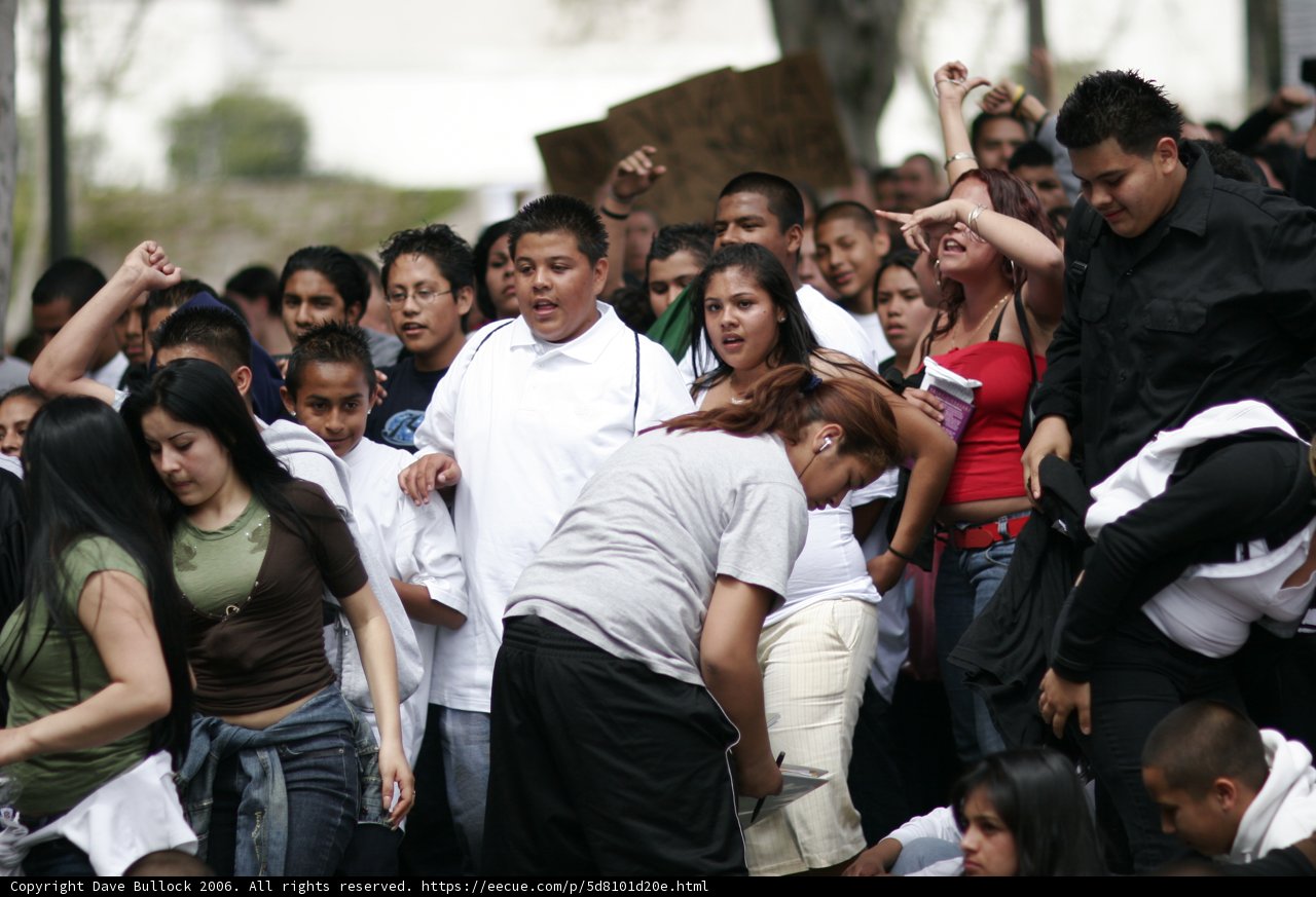 School Walkout Protesters