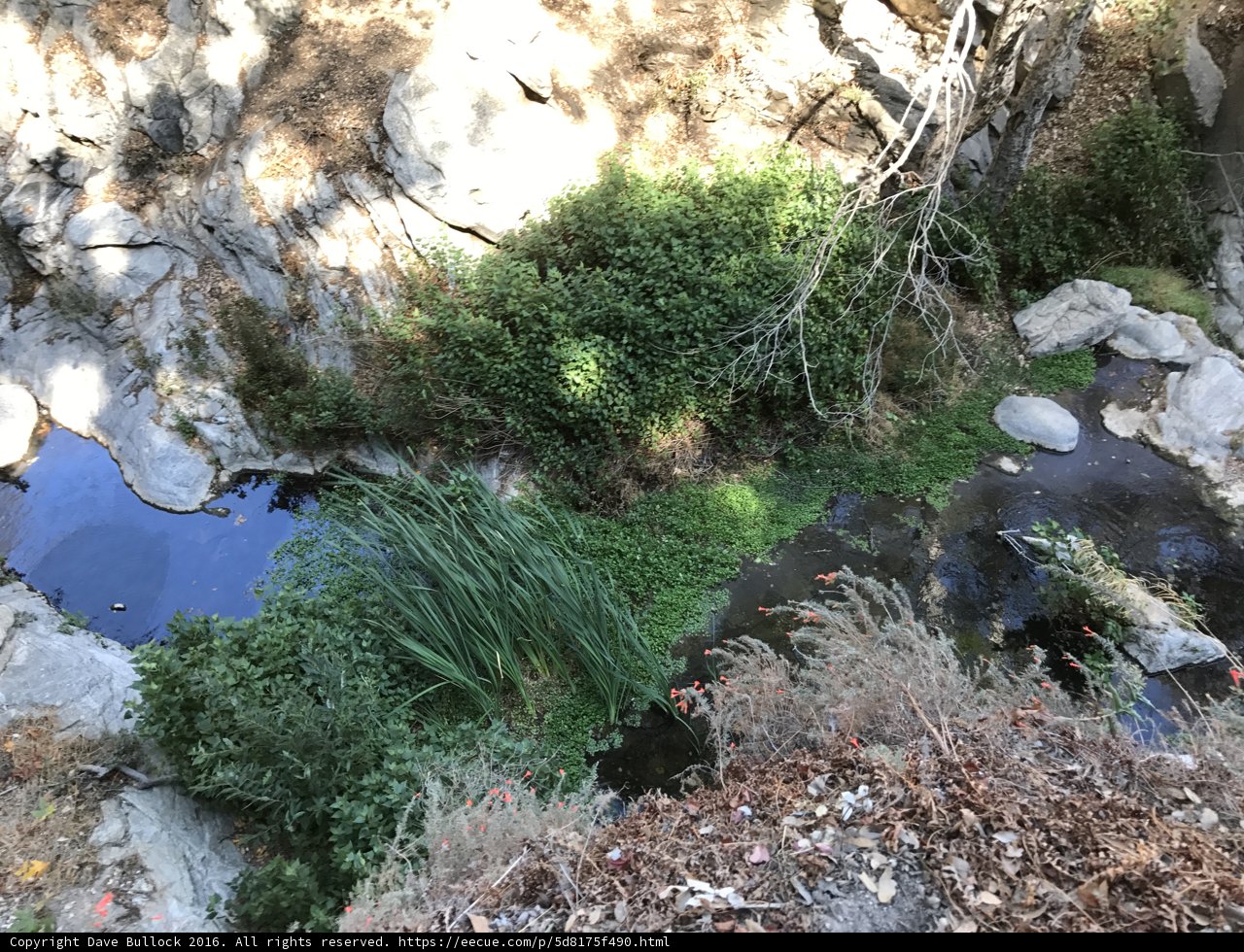 Rocky Stream in Angeles National Forest
