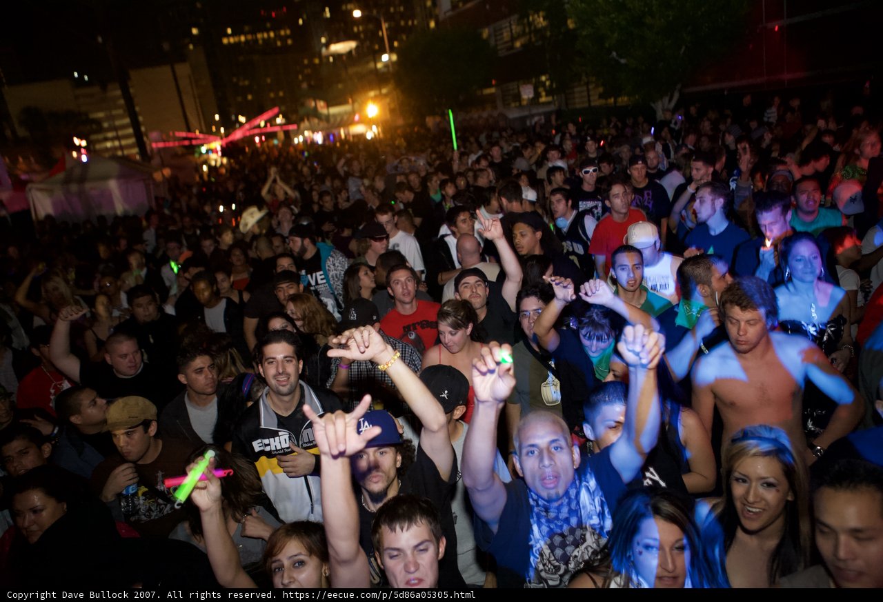Nocturnal Crowd Gets into the Groove