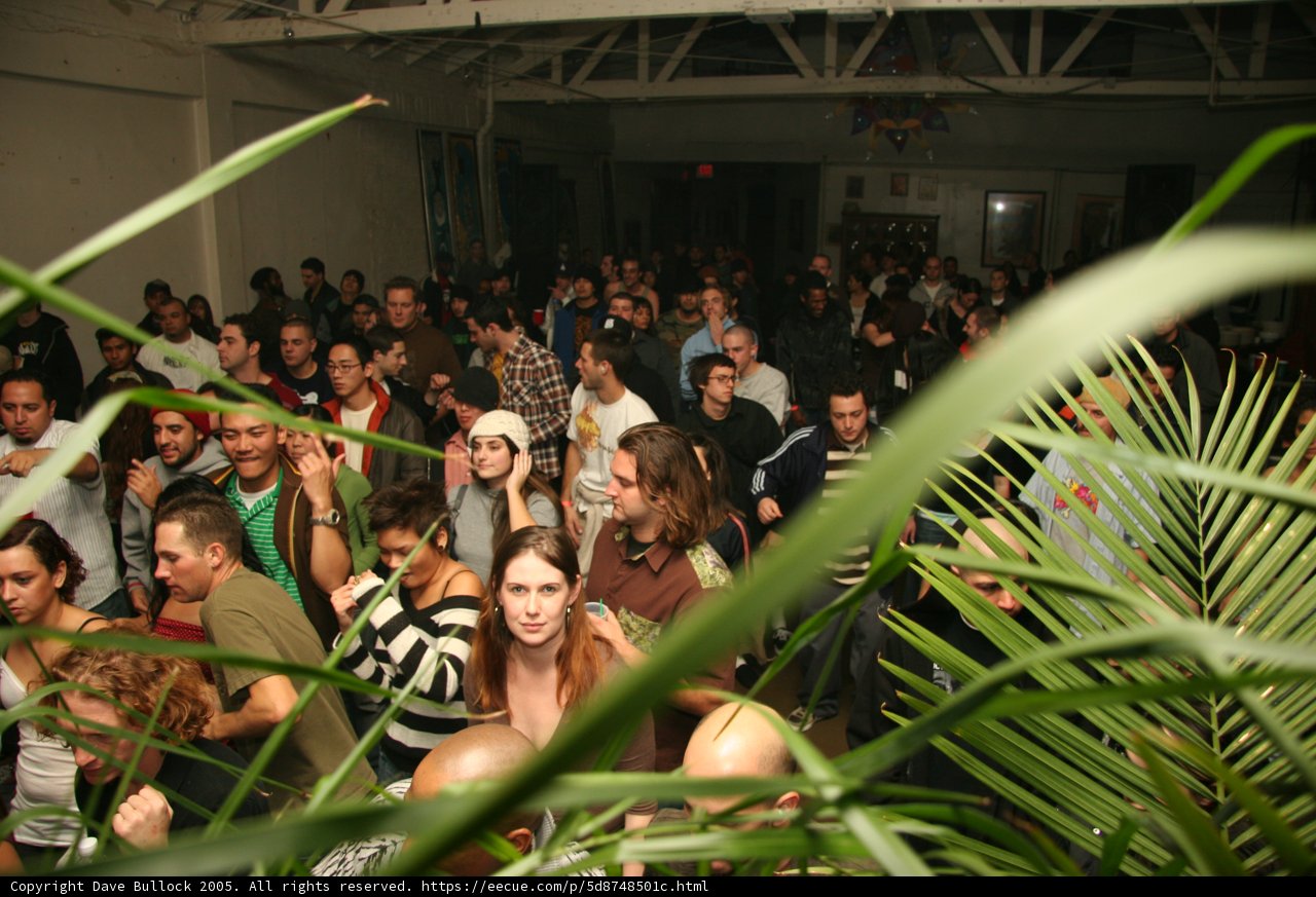 Tropical Vibes at the Night Club