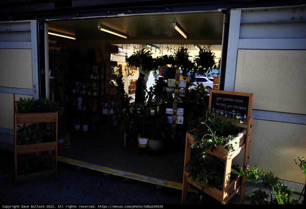 Urban Plant Oasis