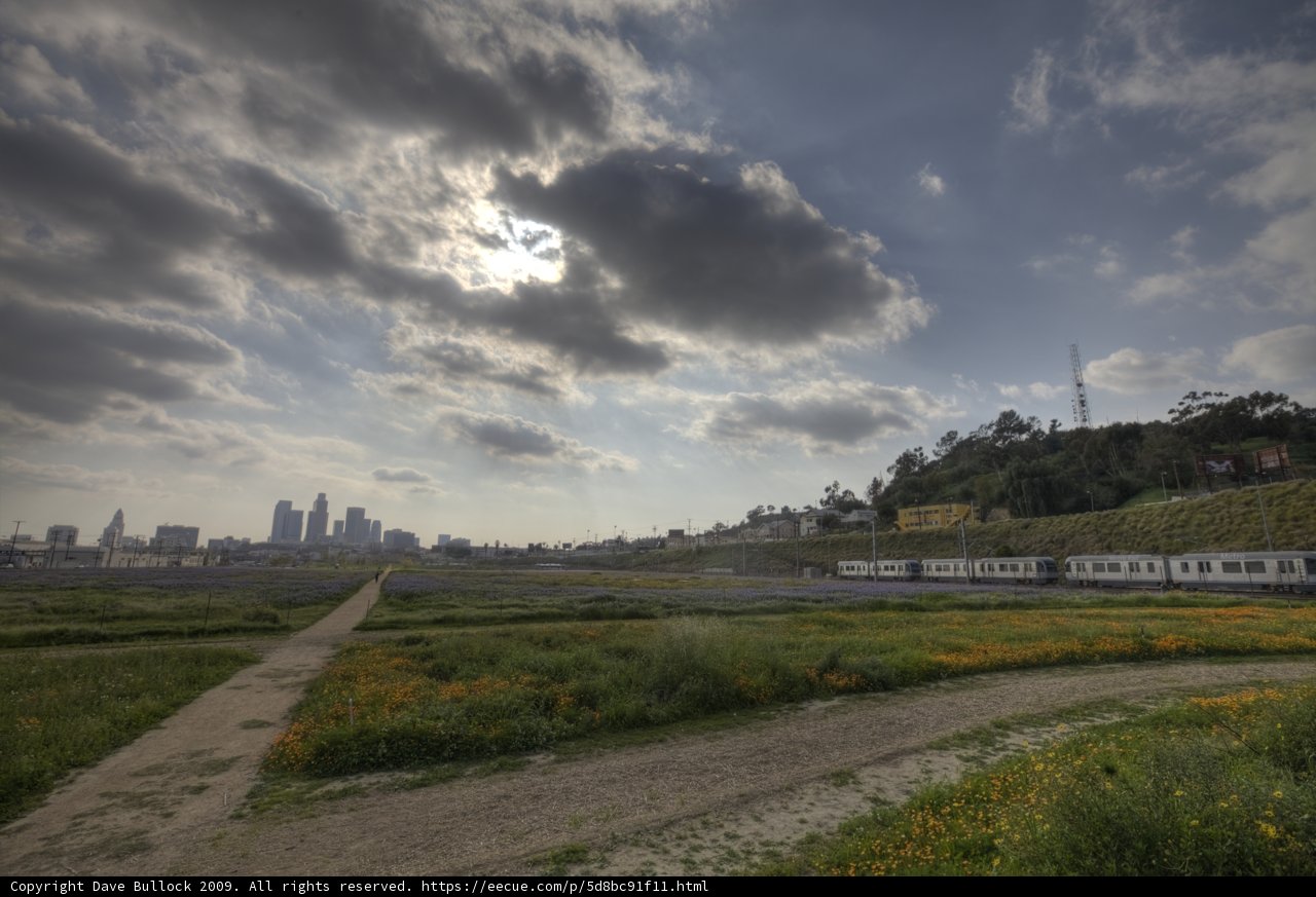 Train Traveling Through a Field with a City in the Background