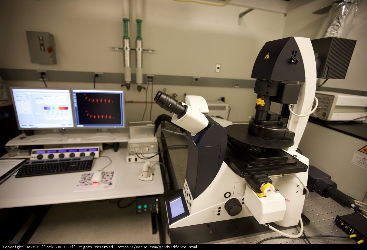 The Microscopic World Revealed