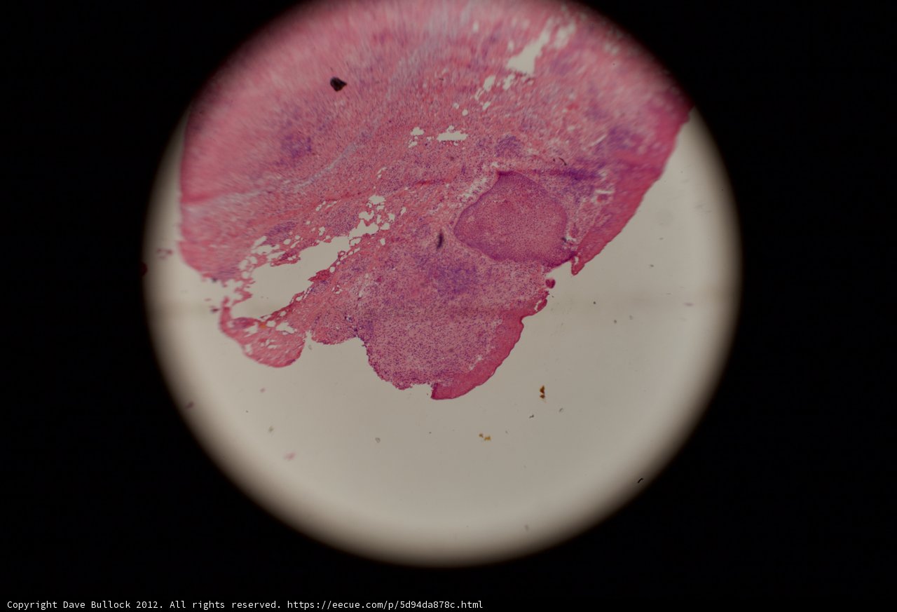 Pink Stain in Outer Space