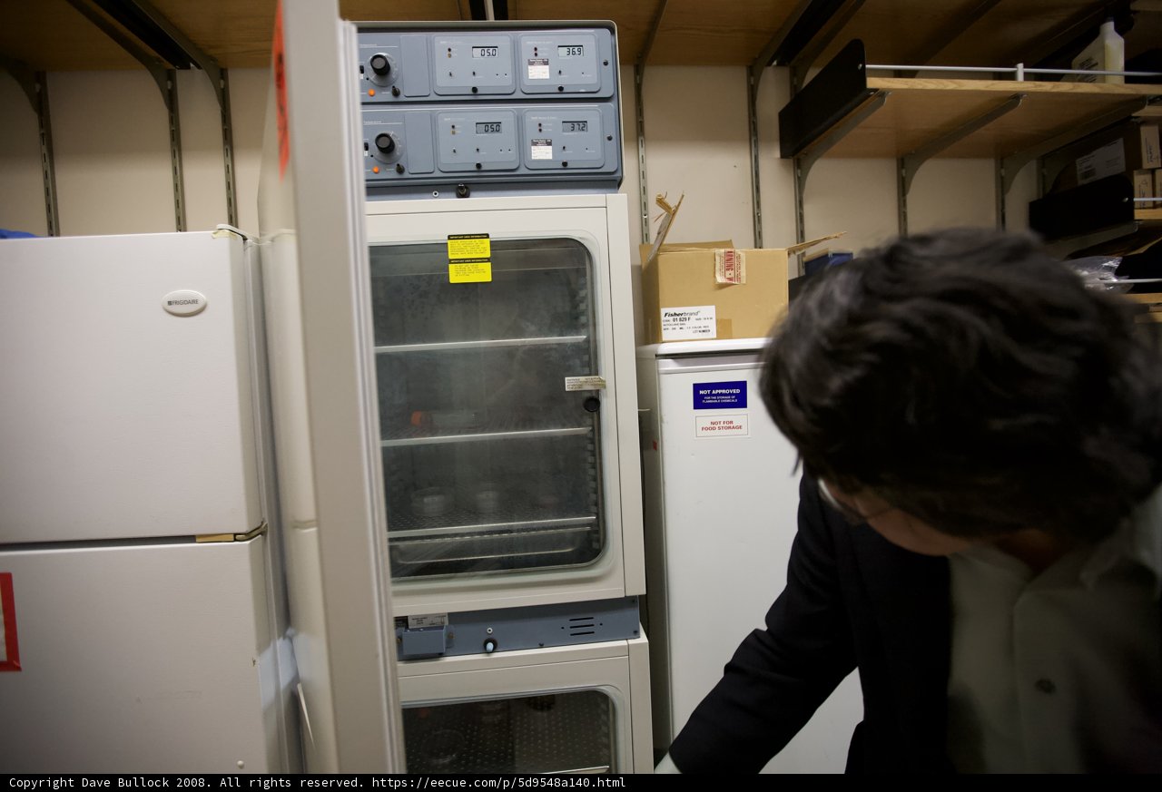 Fridge Inspection in the Kitchen
