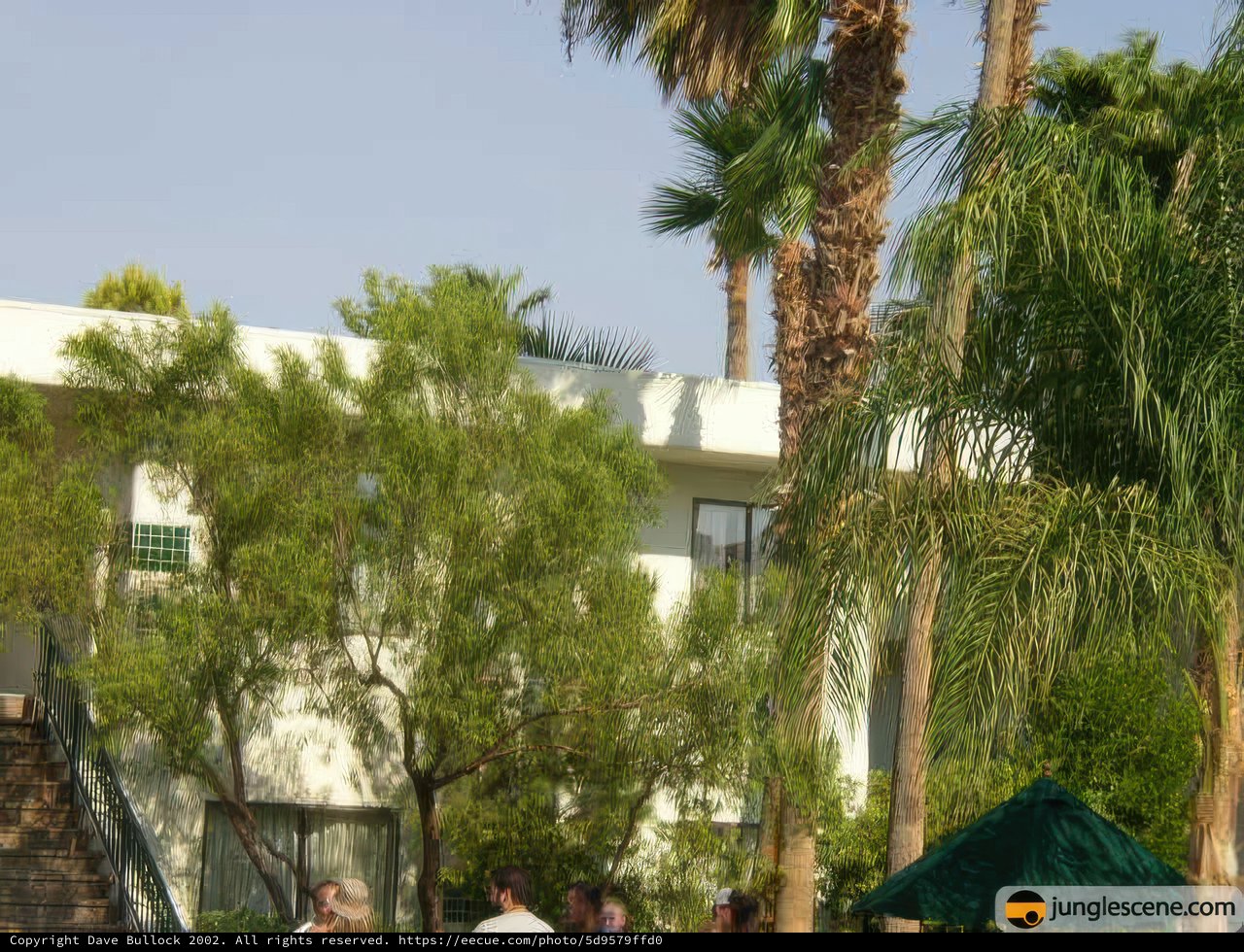 People Outside a Villa with Palm Trees and Blue Skies