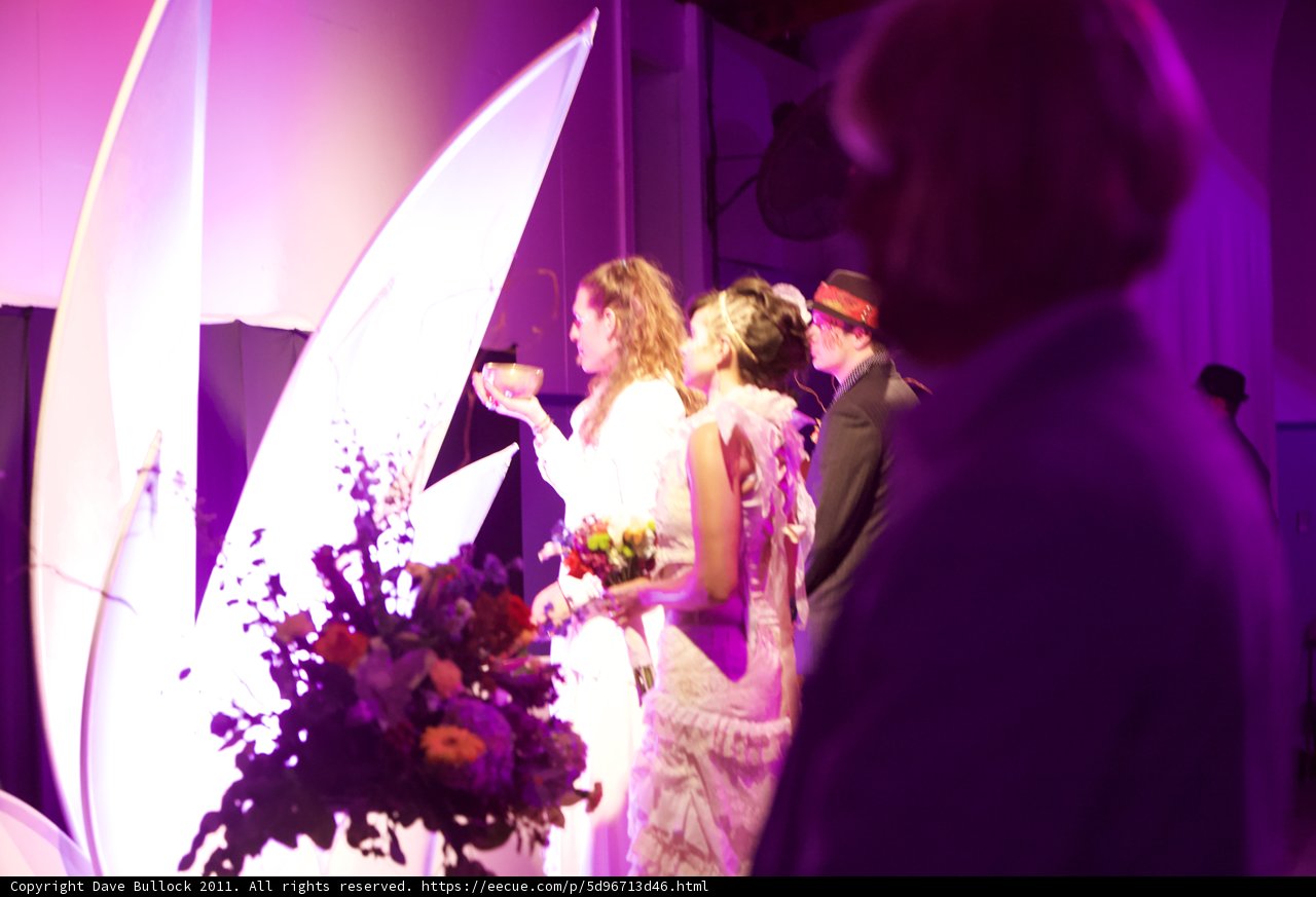 A Romantic Affair with Blooming Flowers