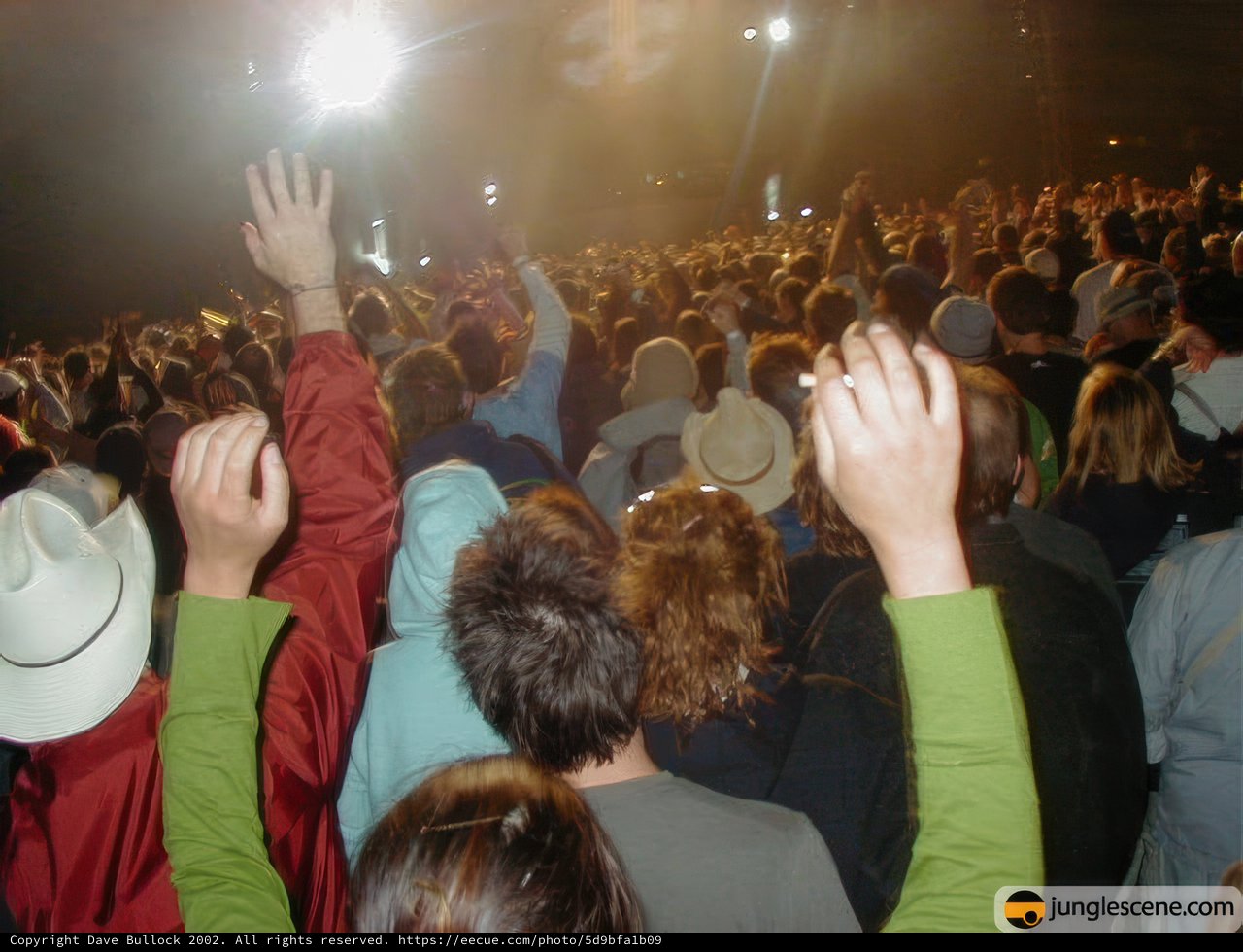 Raising the Roof at Coachella 2002