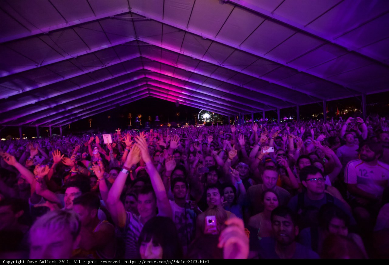 A Thrilling Night of Music and Fun with Coachella Crowd