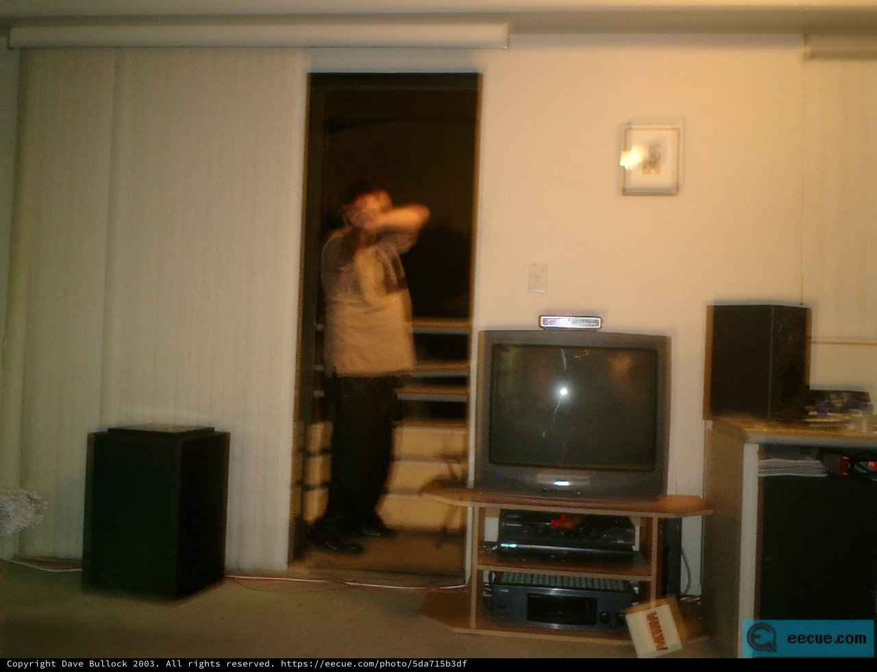 Entertained by Electronics
