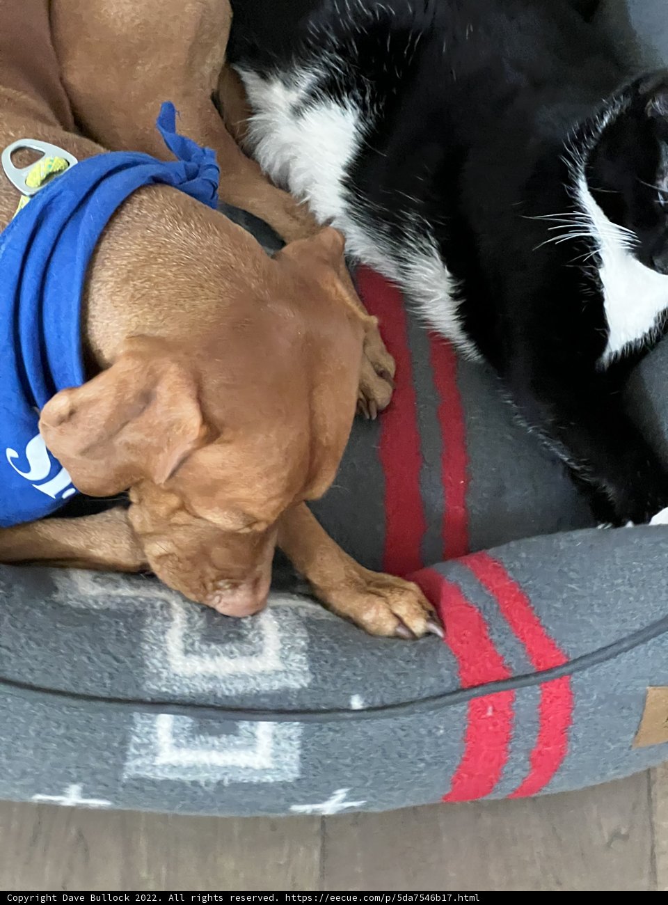 Snuggled Up in Style