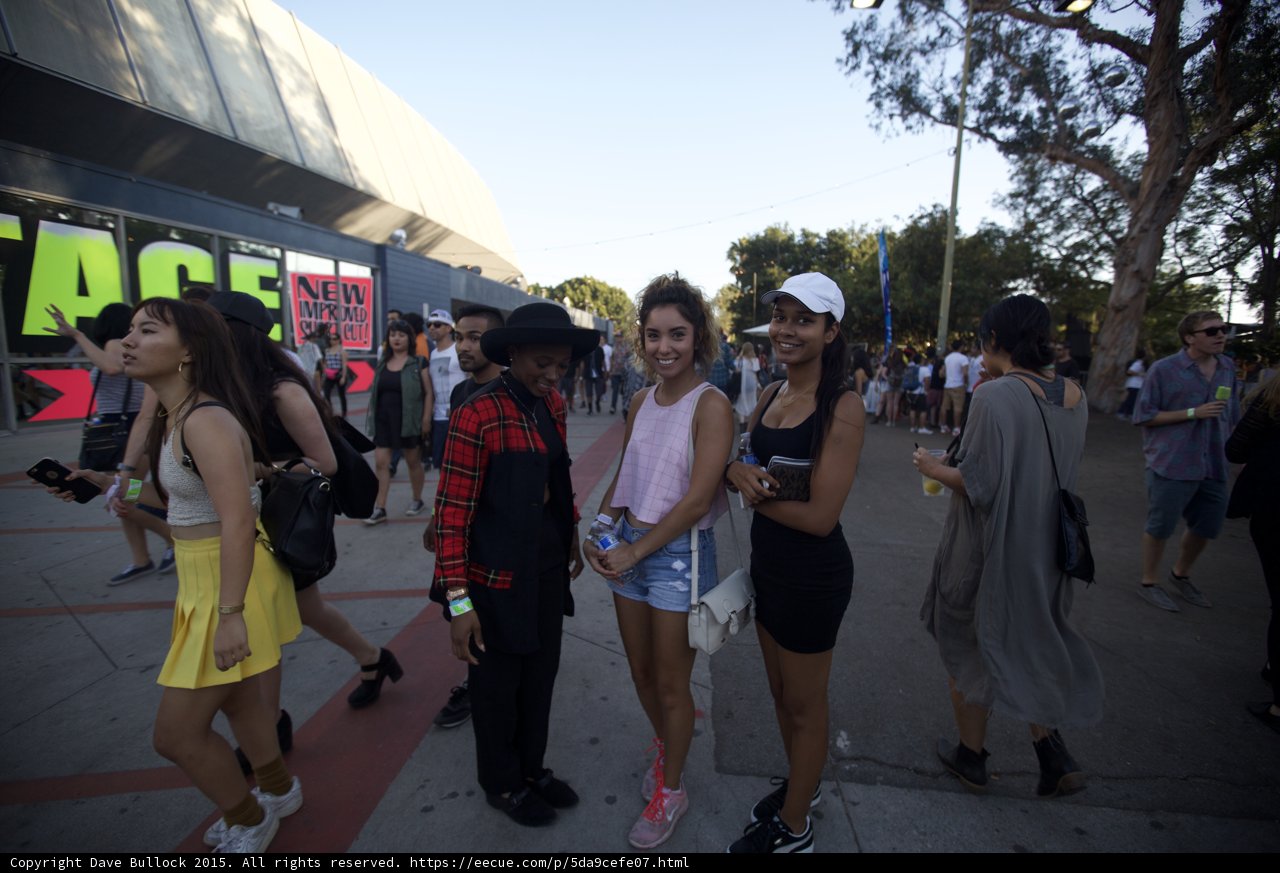 Festival Friends Group