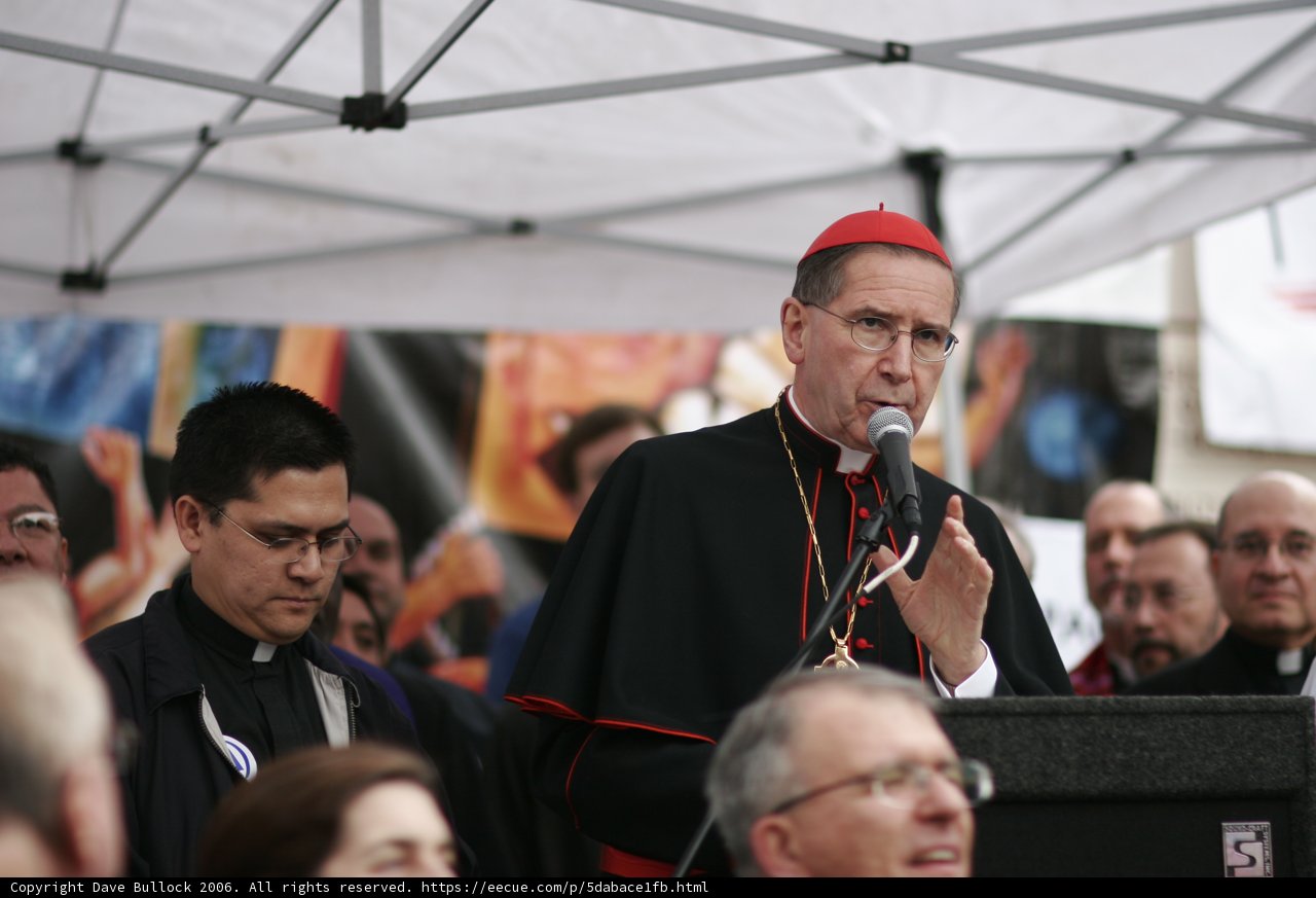 Cardinal diNardo addresses the crowd