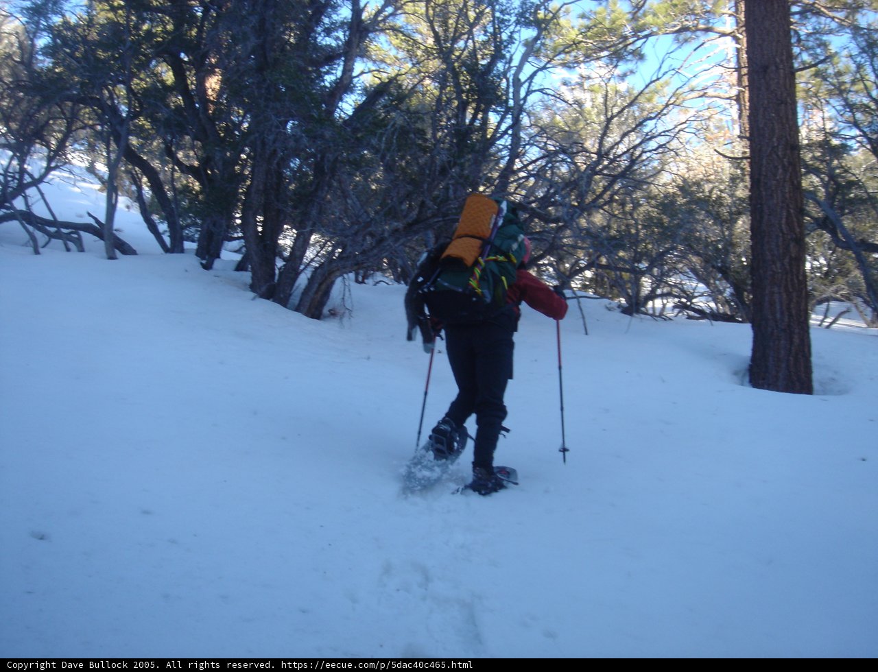 Winter Hiking Adventure