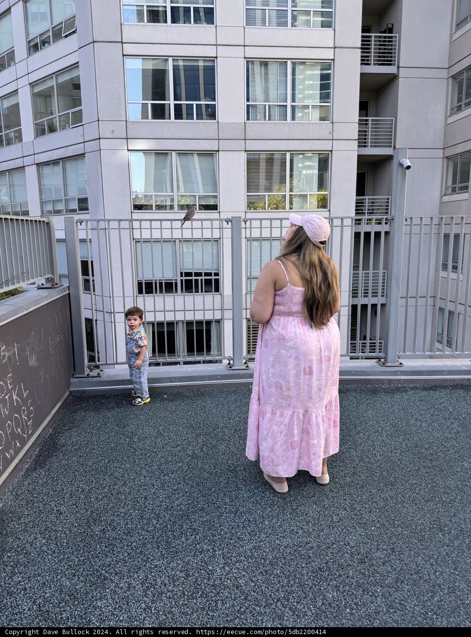 Urban Moments in San Francisco