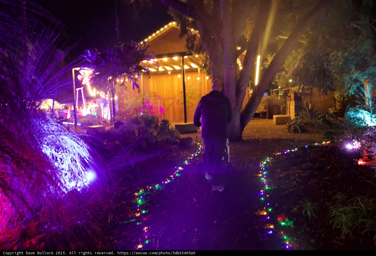Enchanted Pathway to Light