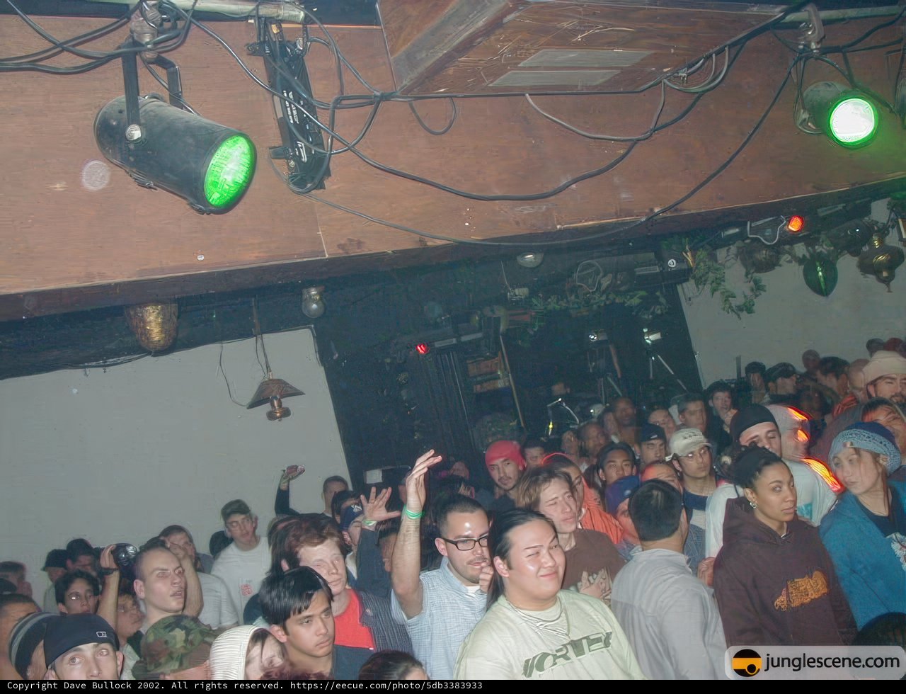 Nightclub Fun with Green Lights