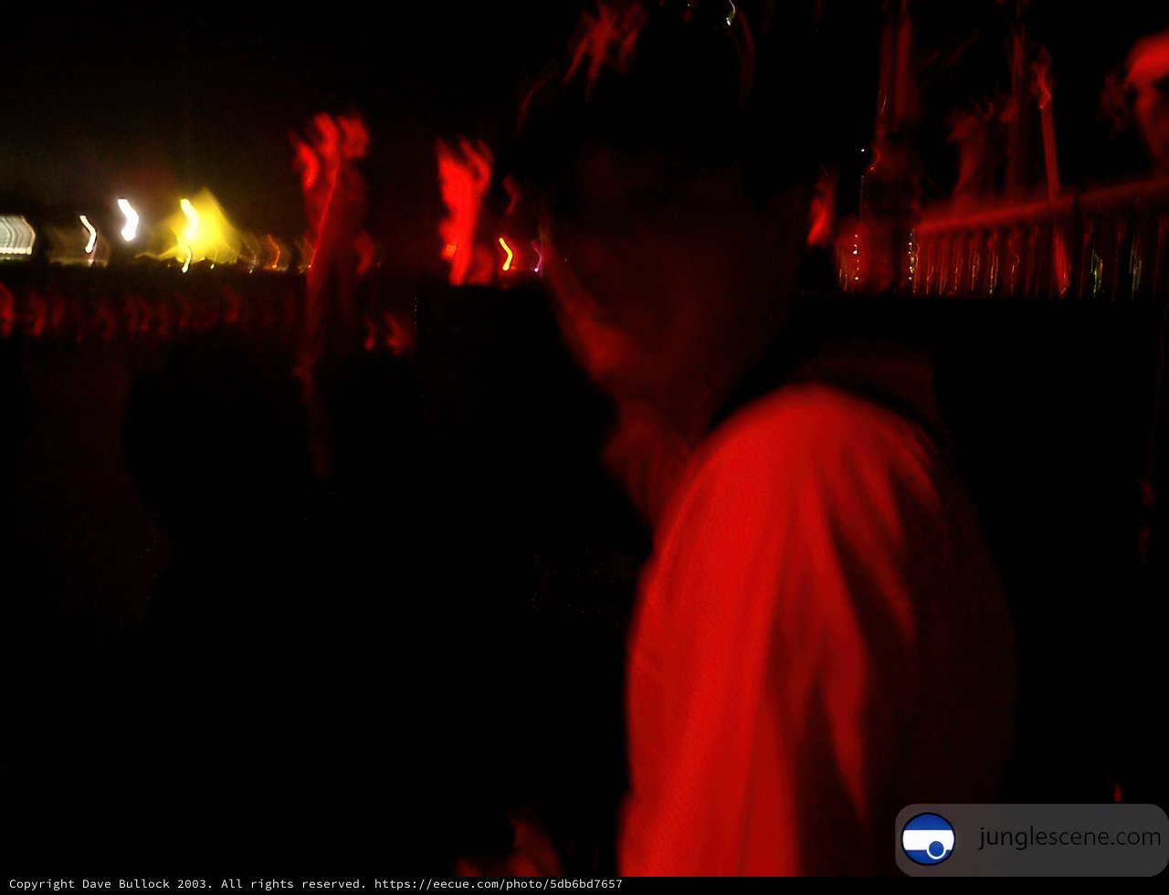 Blurry Nightlife Fun at Coachella