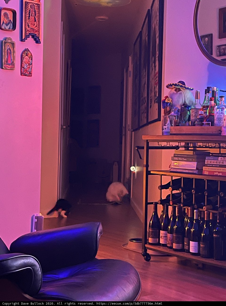 Cozy Living Room