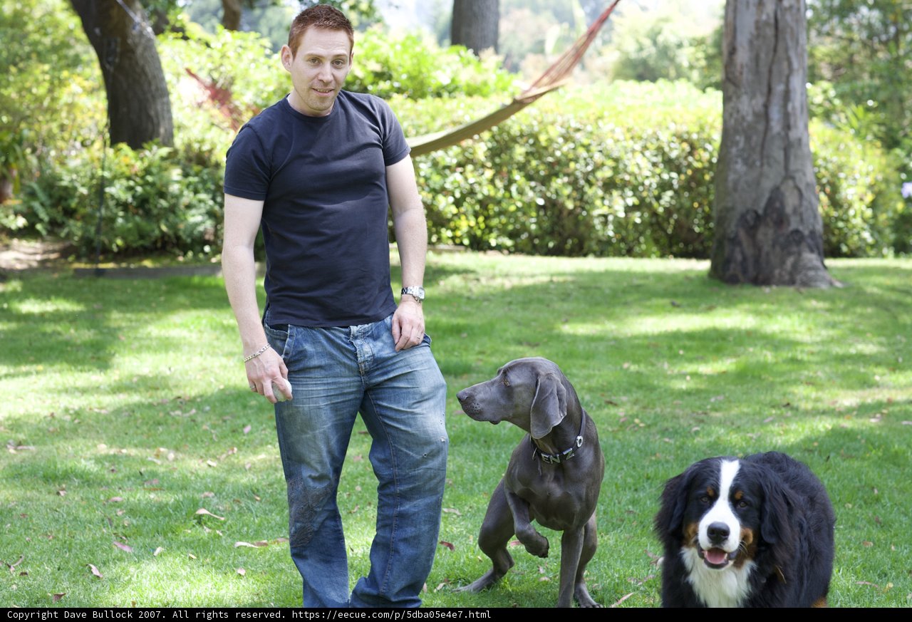 Man and Dogs in the Park