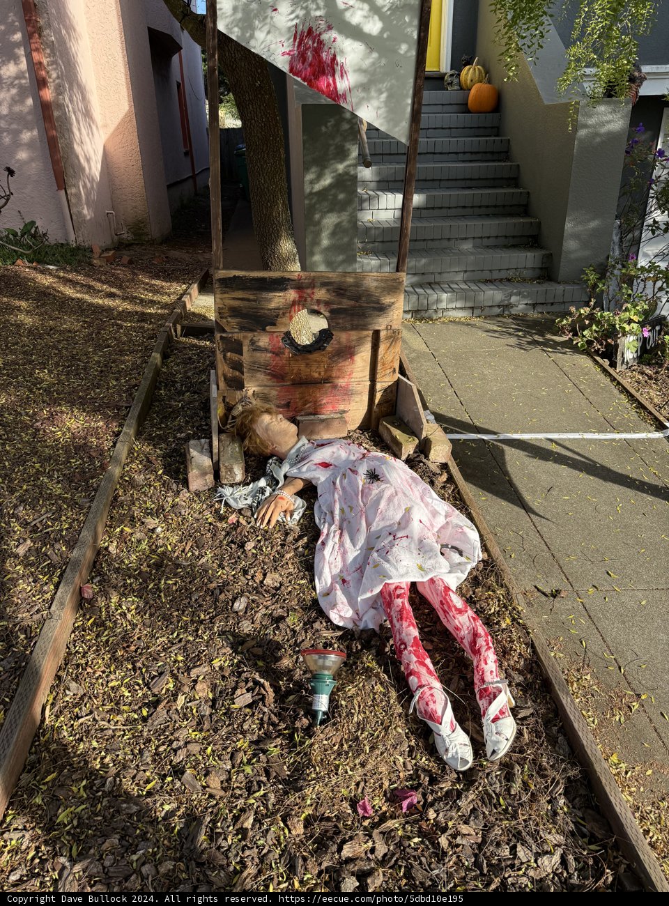 Halloween Hijinks