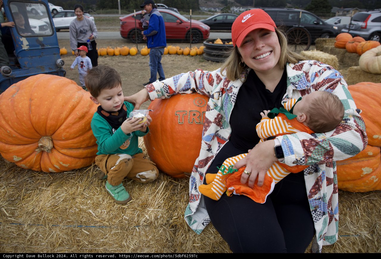 Harvest Smiles