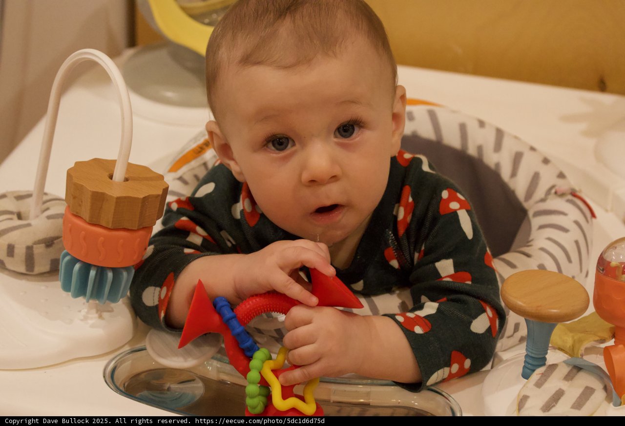 Curious Eyes and Tiny Hands