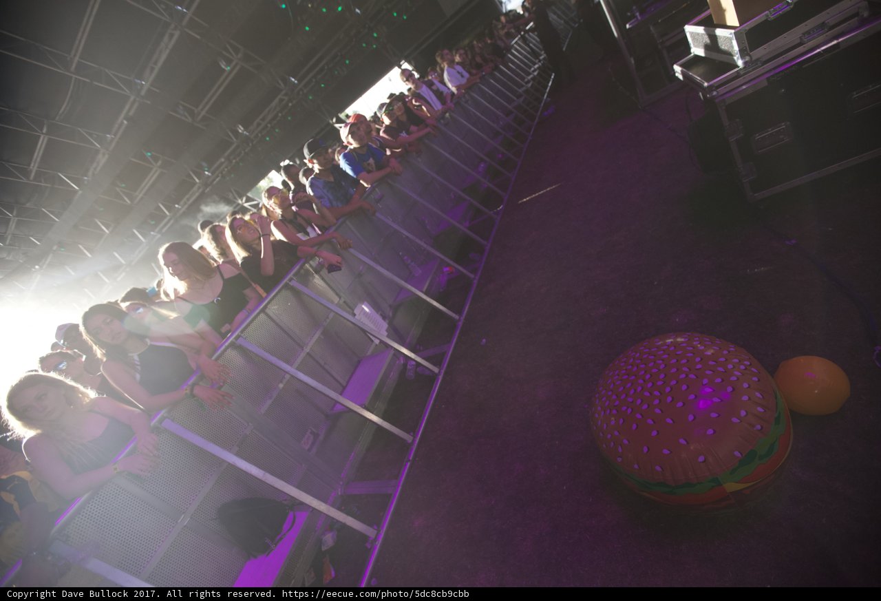 Burger Ball Party