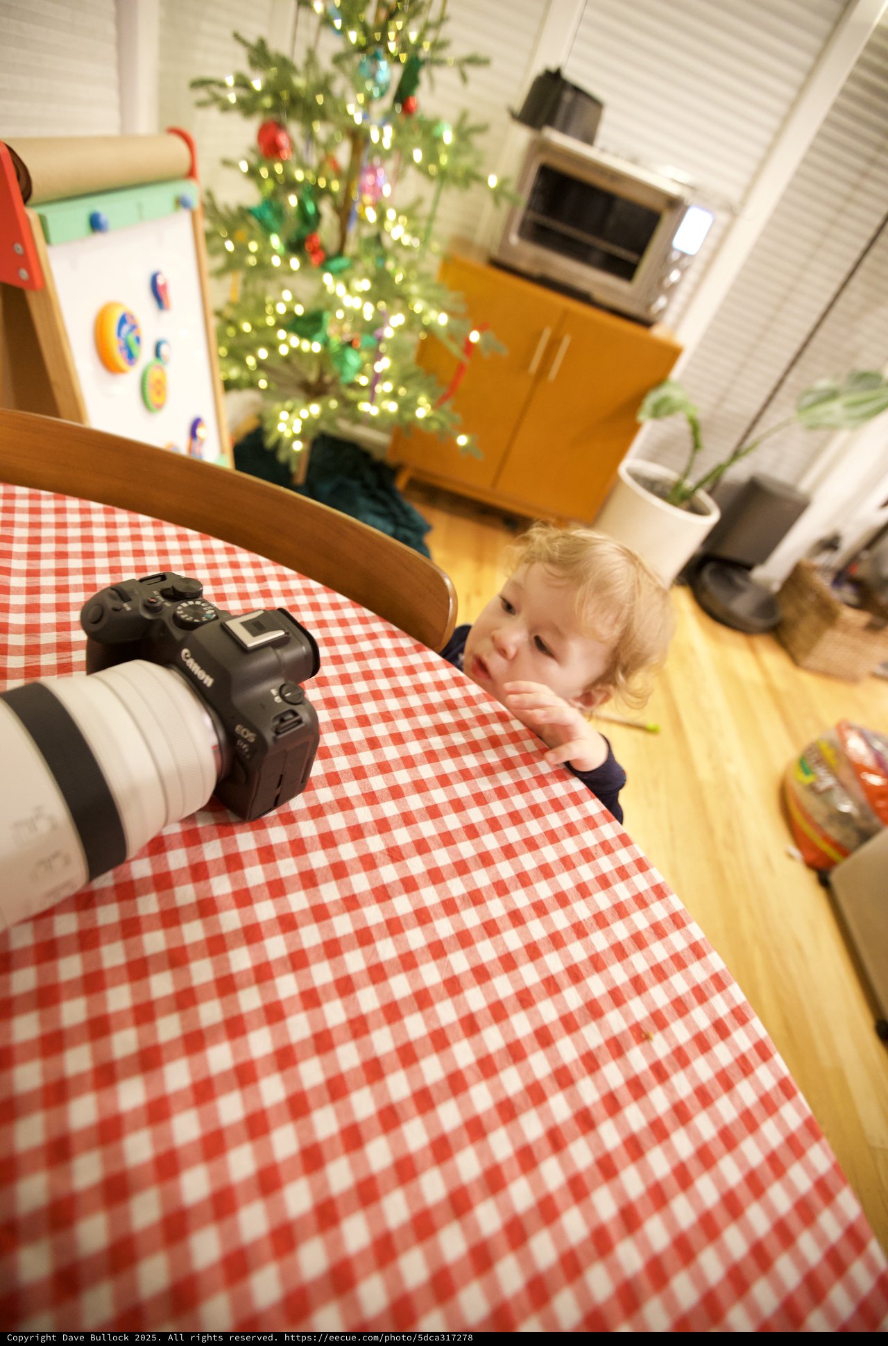 Curious Toddler Inspects Camera on Christmas Morning
