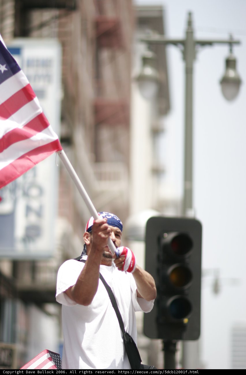 Patriotic Gesture