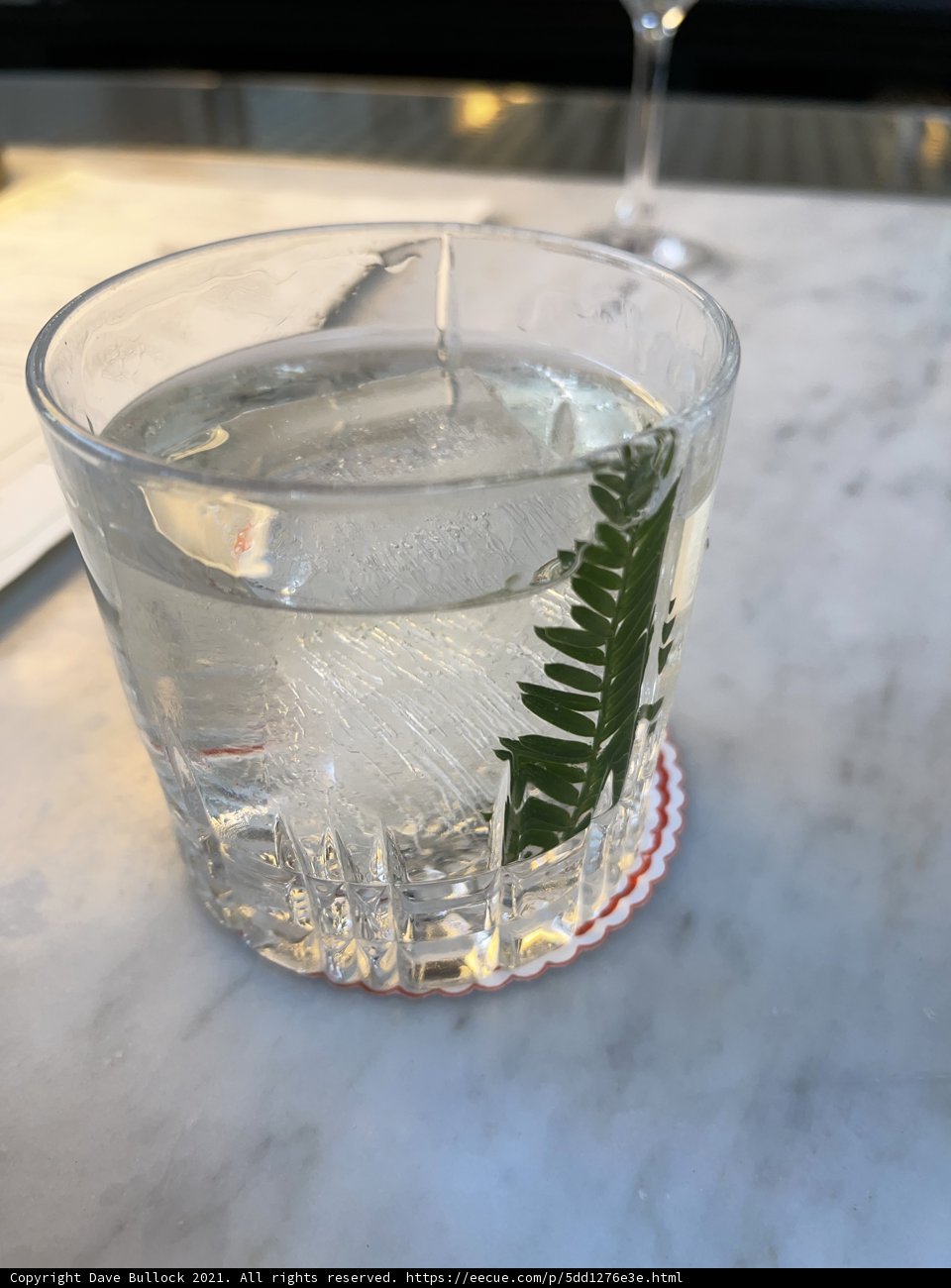 Refreshing Leafy Beverage