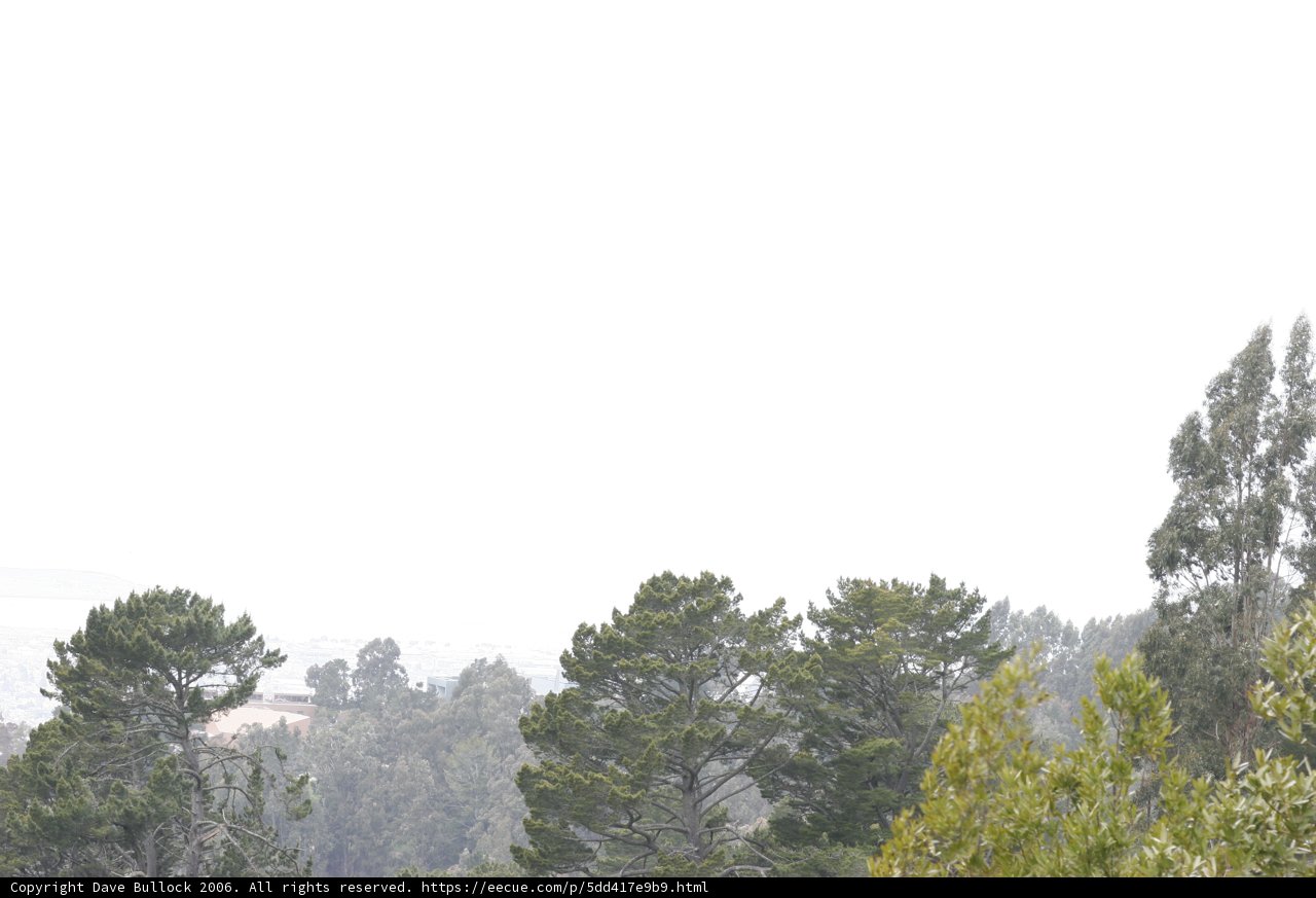 Atop the Hill, Capturing Nature's Majesty