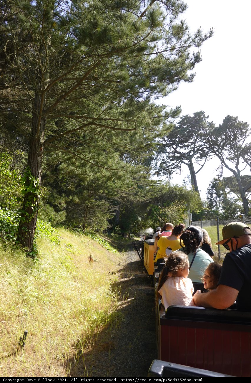 Train Ride Adventure at San Francisco Zoo