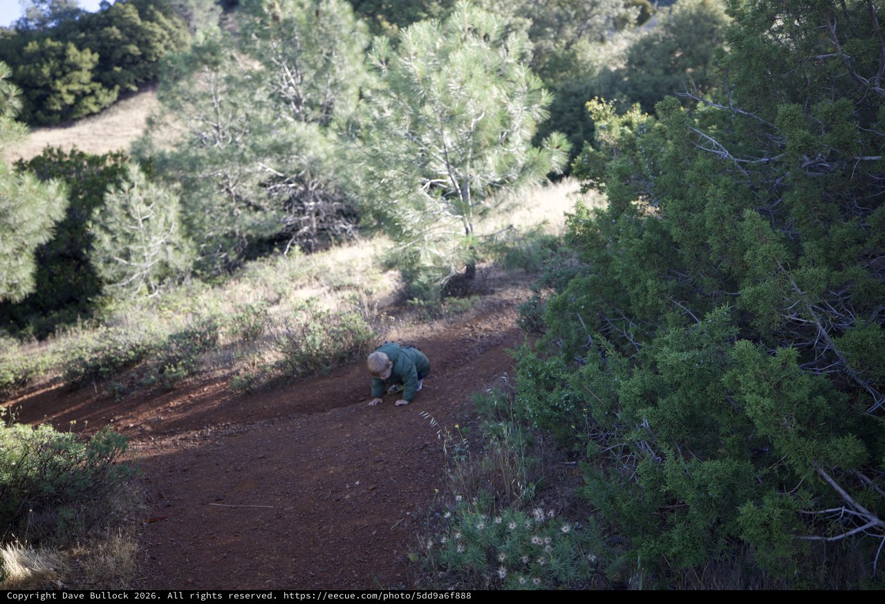 Toddler Explores Red Dirt Trail on Mount Diablo