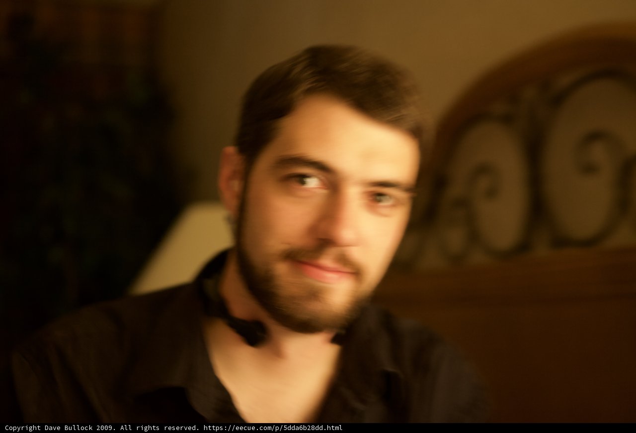 Portrait of a Bearded Man
