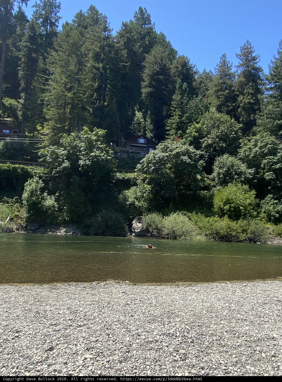 Serenity at the Russian River