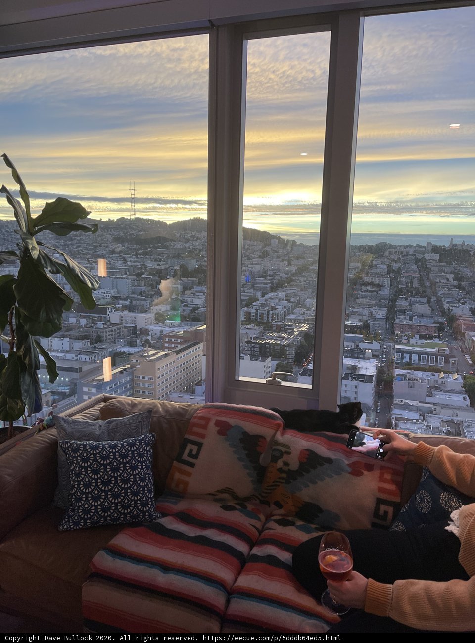Cozy Afternoon on the Couch