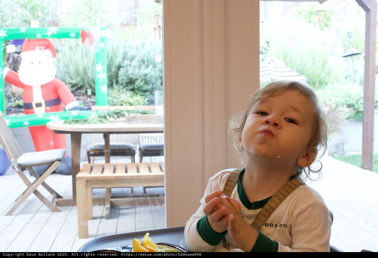 Young Child's Thoughtful Prayer Moment at Christmas
